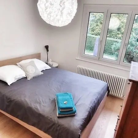 Maison Du Jonc, Geneve-aeroport Villa *